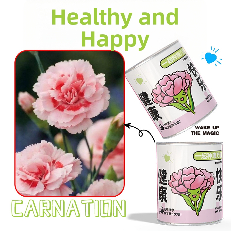 Mini potitaimed salapärases kastis istutamiseks: maasikas, gypsophila, morning glory; sobib klassile või õpilaste preemiaks