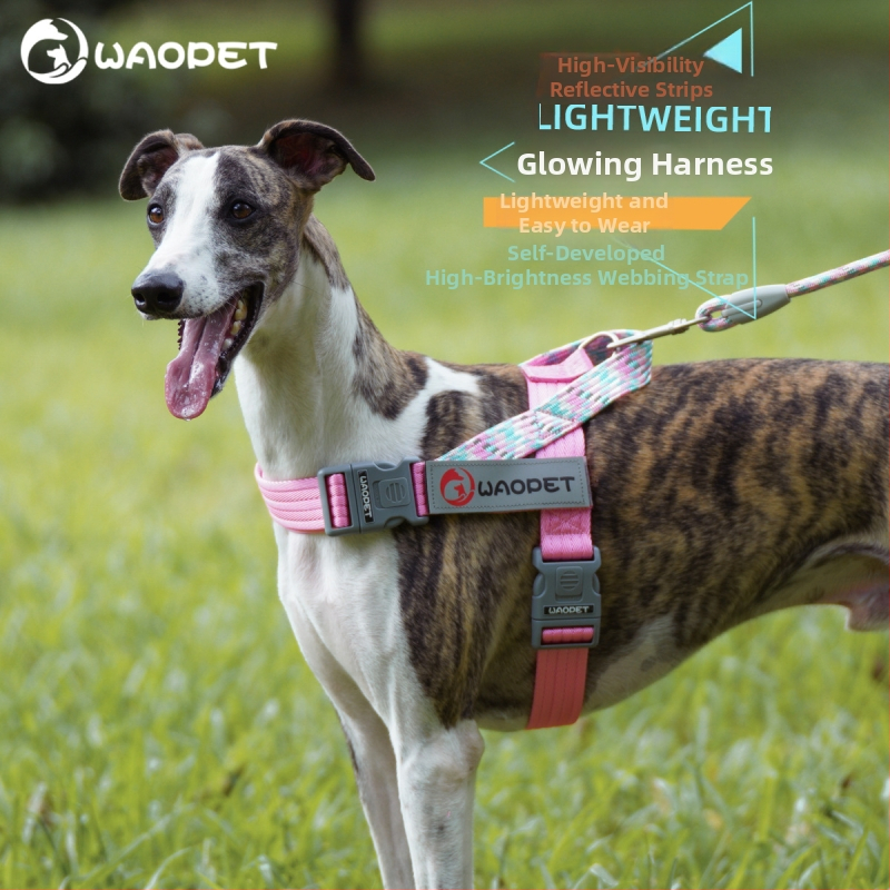 WAOPET дишаща нейлонова шлейка за кучета с гръдни и гръбни презрамки, неподвижна каишка