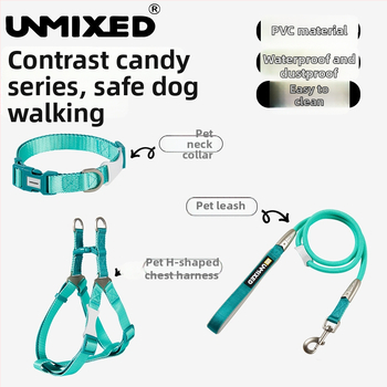 Šuns harnasas ir pavadėlio rinkinys — poliesteris, UNMIXED, 24 vnt.