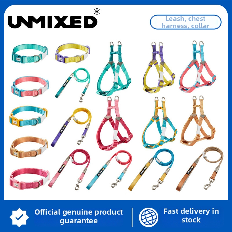 Šuns harnasas ir pavadėlio rinkinys — poliesteris, UNMIXED, 24 vnt.