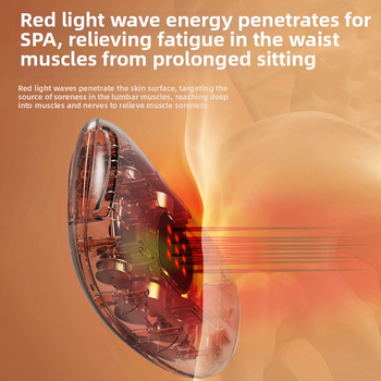 Įkraunama pilvo masažo juosta, iki 4 masažo galvučių, masažas vibracijomis ir šilto kompreso, mechaninis valdymas, nuolatos kintama pavarų dėžė