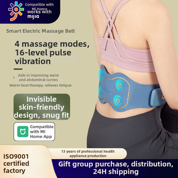 Juosmens masažo juosta su šildymu ir vibracija, iki 4 masažo galvų, maitinimas: baterija, valdymas: kompiuterio tipas, intensyvumas nuolatos reguliuojamas