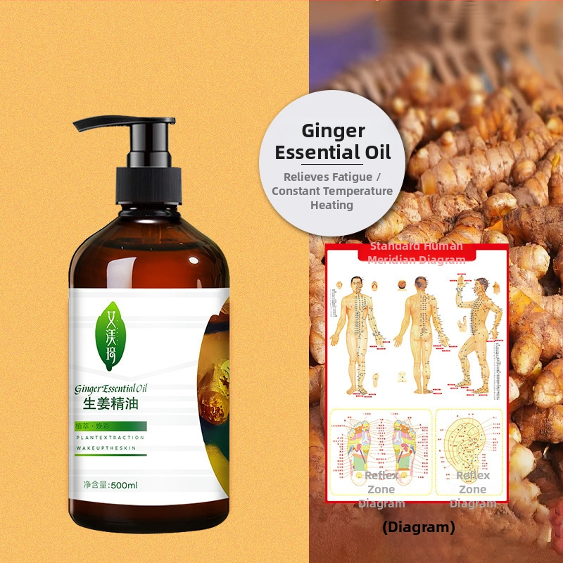 Lādējams rokas masāžas līdzeklis meridiāniem ar vibrāciju, temperatūras regulators līdz 60°C, ABS korpuss, svars apmēram 0,7 kg