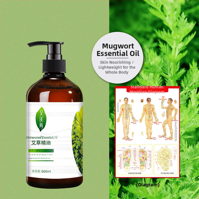 Lādējams rokas masāžas līdzeklis meridiāniem ar vibrāciju, temperatūras regulators līdz 60°C, ABS korpuss, svars apmēram 0,7 kg