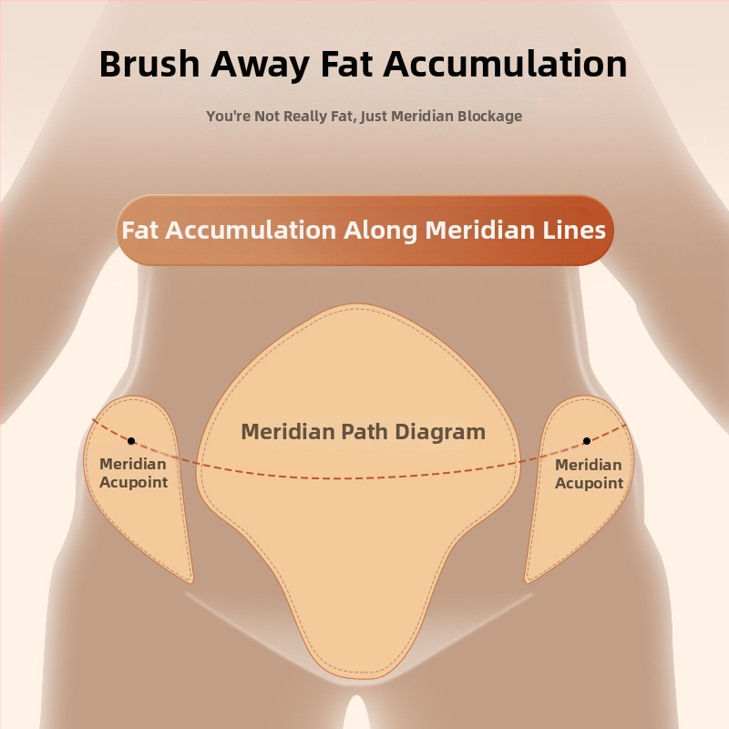 Meridiánová kefová masážna pomôcka na brucho – Brucho masér, nástroj na masáž chodidiel a šliach, zariadenie na čistenie pulzov (Značka: Zhebao; Špecifikácie: Regular; Hmotnosť: 200 g; Balenie: 100 ks)