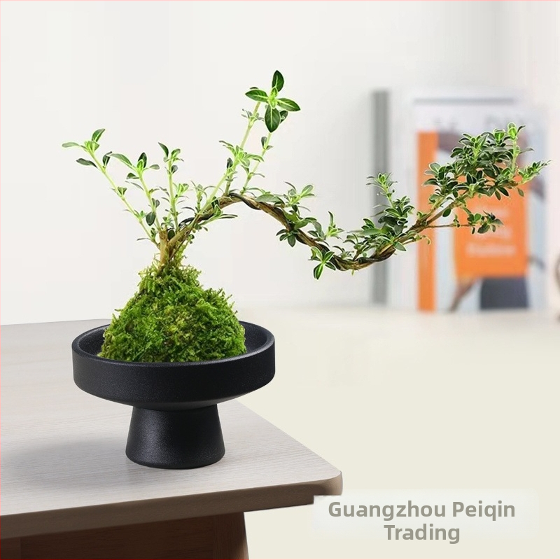 Keraamiline samblakujuline pott sammalepallidele, lillede paigutus (hüdropniline taim Narciss) — Optimaalne kasvutemp: 1; Valgus: Neutraalne; Niiskus: Neutraalne