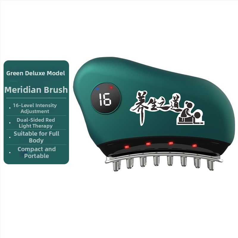 Elektriskā gua sha sejas ierīce ar temperatūras kontroli 30–50°C, modelis JZ-165, USB barošana, ABS korpuss