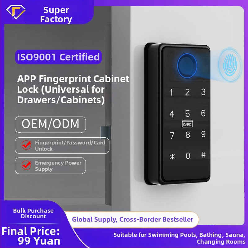 Skapja atslēga ar pirkstu nospiedumu (Materiāls: alumīnija sakausējums; Modeļa numurs: Q08; Akumulatora darbības laiks: 1 gads; Darbības spriegums: 6V; Zems spriegums brīdinājums)