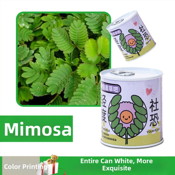 Laua taime kinkekarbis päevalille seguga — kergesti kasvatatavad seemned, sordid: päevalill, maasikas, tomat, ristiku; üle 15°C, neutraalne valgus