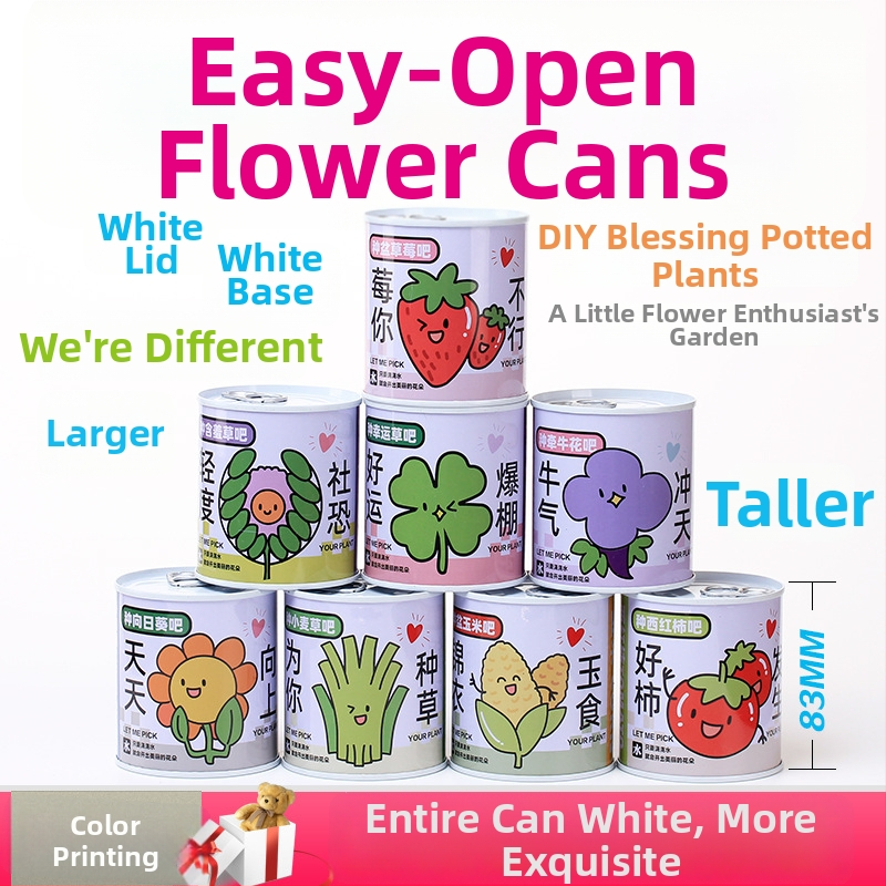 Laua taime kinkekarbis päevalille seguga — kergesti kasvatatavad seemned, sordid: päevalill, maasikas, tomat, ristiku; üle 15°C, neutraalne valgus