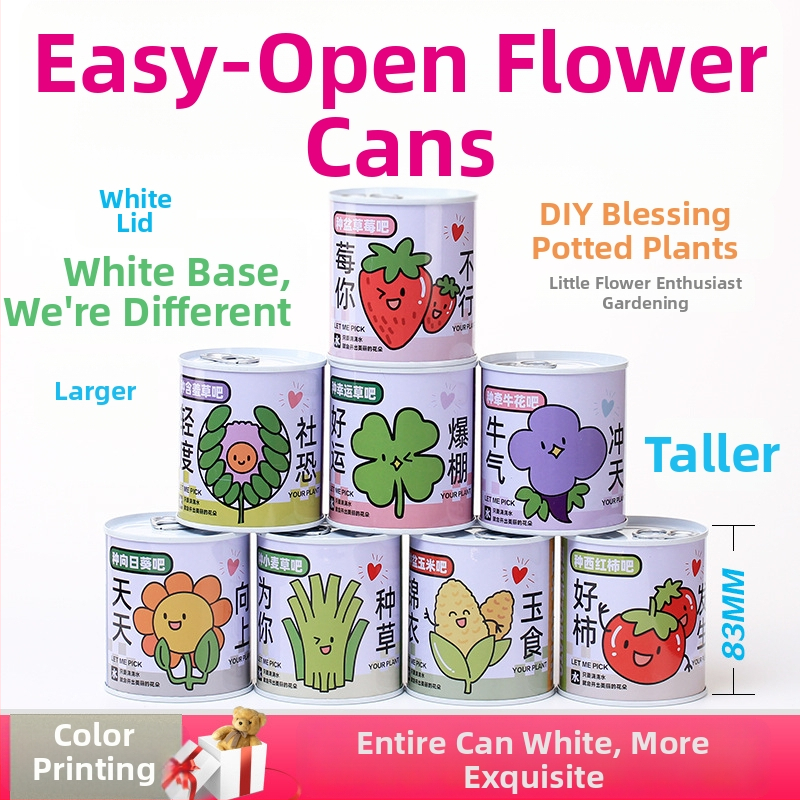 Laua taime kinkekarbis päevalille seguga — kergesti kasvatatavad seemned, sordid: päevalill, maasikas, tomat, ristiku; üle 15°C, neutraalne valgus