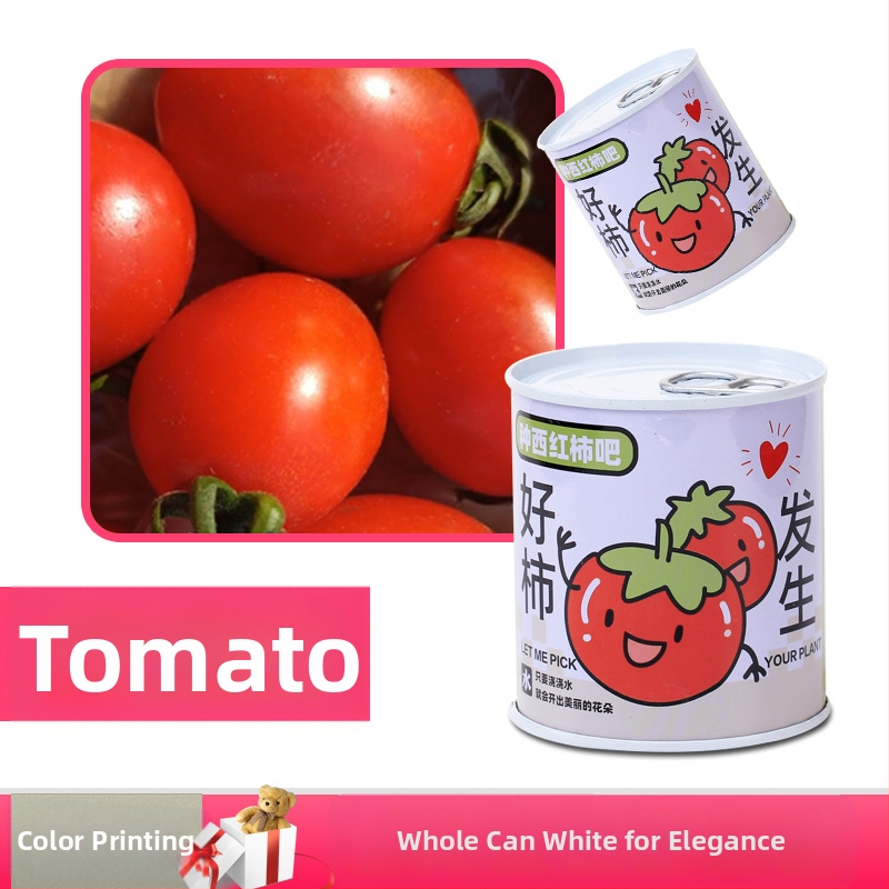 Laua taime kinkekarbis päevalille seguga — kergesti kasvatatavad seemned, sordid: päevalill, maasikas, tomat, ristiku; üle 15°C, neutraalne valgus