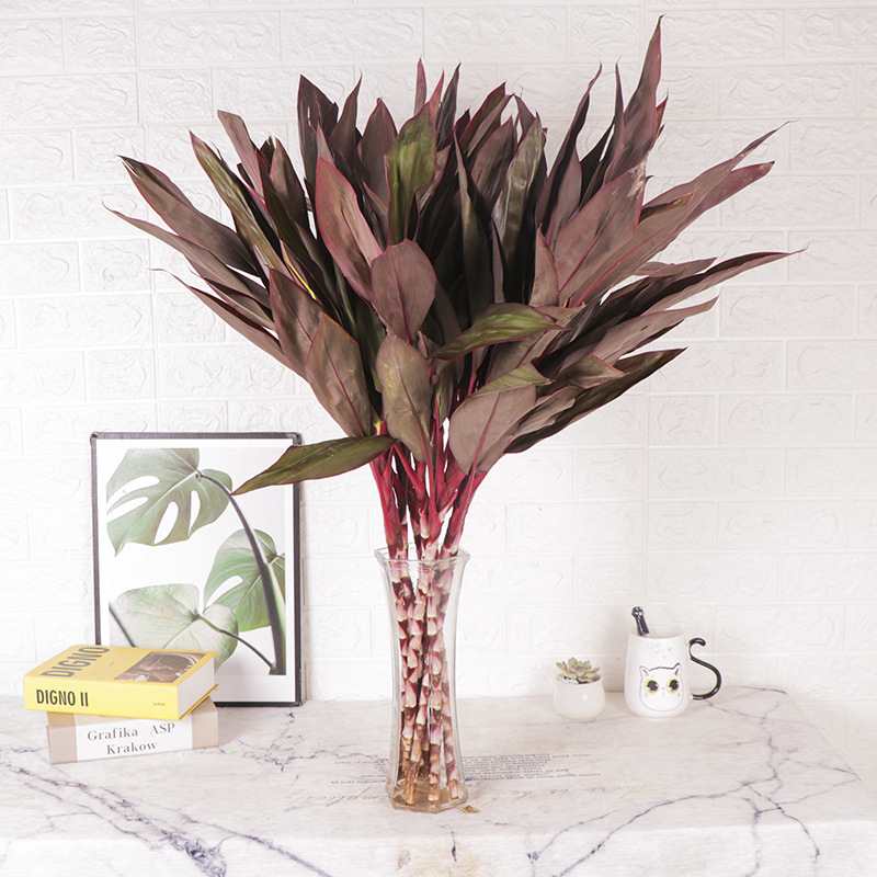 Vidinis hidroponinis Lucky Bamboo augalas – drėgmę mėgstantis, šešėlių toleravimas, įprasta temperatūra, šiuolaikiškas minimalistinis stilius