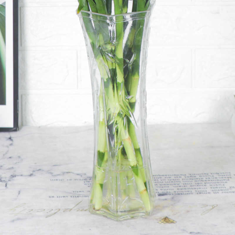 Vidinis hidroponinis Lucky Bamboo augalas – drėgmę mėgstantis, šešėlių toleravimas, įprasta temperatūra, šiuolaikiškas minimalistinis stilius