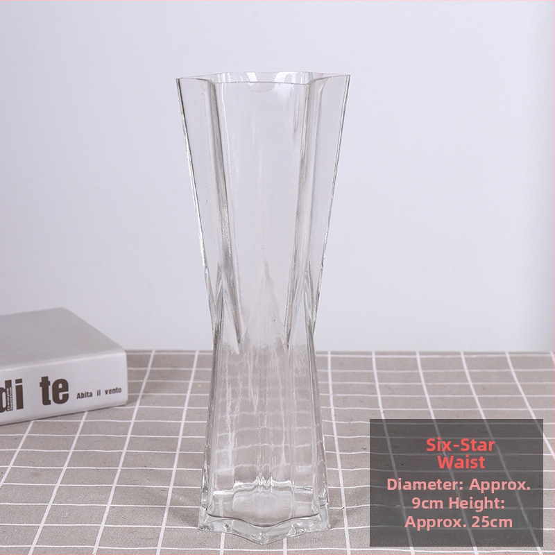 Vidinis hidroponinis Lucky Bamboo augalas – drėgmę mėgstantis, šešėlių toleravimas, įprasta temperatūra, šiuolaikiškas minimalistinis stilius