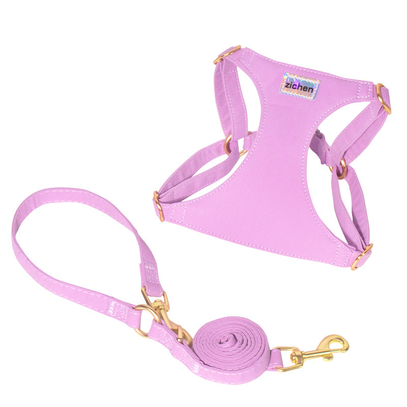 Postroj pre psa na prechádzky — hrudný a chrbtový remienok, nepoddajný ťahový pás, značka Support