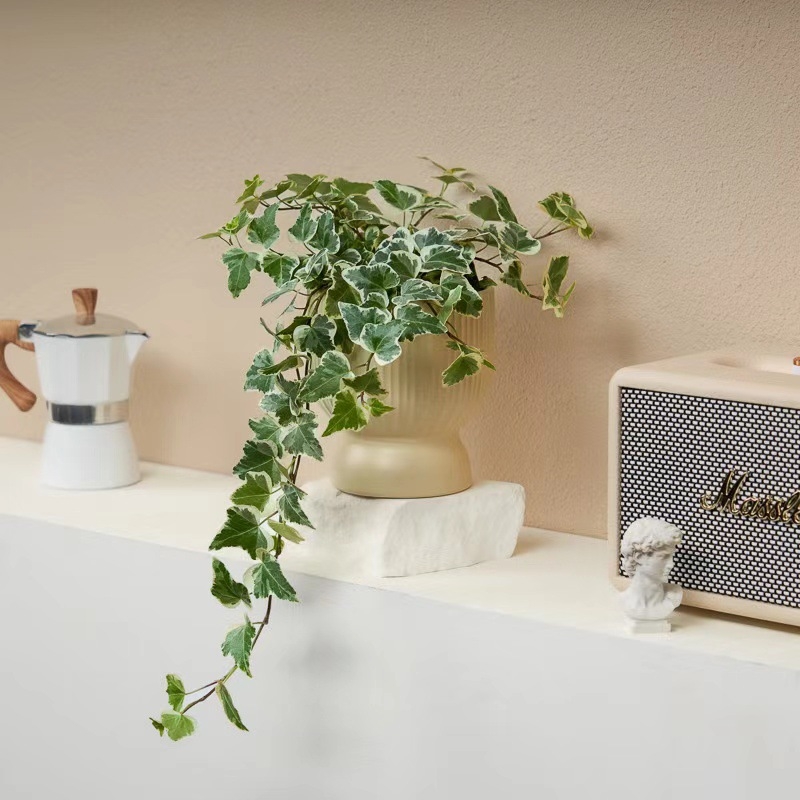 Guoxiang бръшлян в саксия за балкон – висящо растение за вътрешен двор, вечнозелено, лесно за поддръжка, нормална температура, обича слънцето и влагата, модерен стил минимализъм и лек лукс