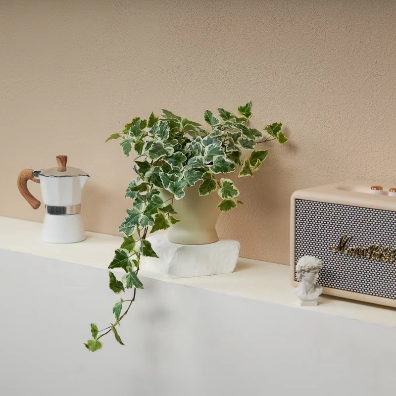 Guoxiang бръшлян в саксия за балкон – висящо растение за вътрешен двор, вечнозелено, лесно за поддръжка, нормална температура, обича слънцето и влагата, модерен стил минимализъм и лек лукс