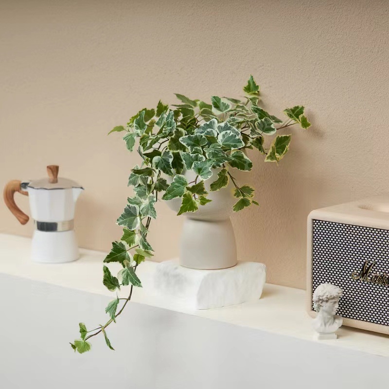 Guoxiang бръшлян в саксия за балкон – висящо растение за вътрешен двор, вечнозелено, лесно за поддръжка, нормална температура, обича слънцето и влагата, модерен стил минимализъм и лек лукс