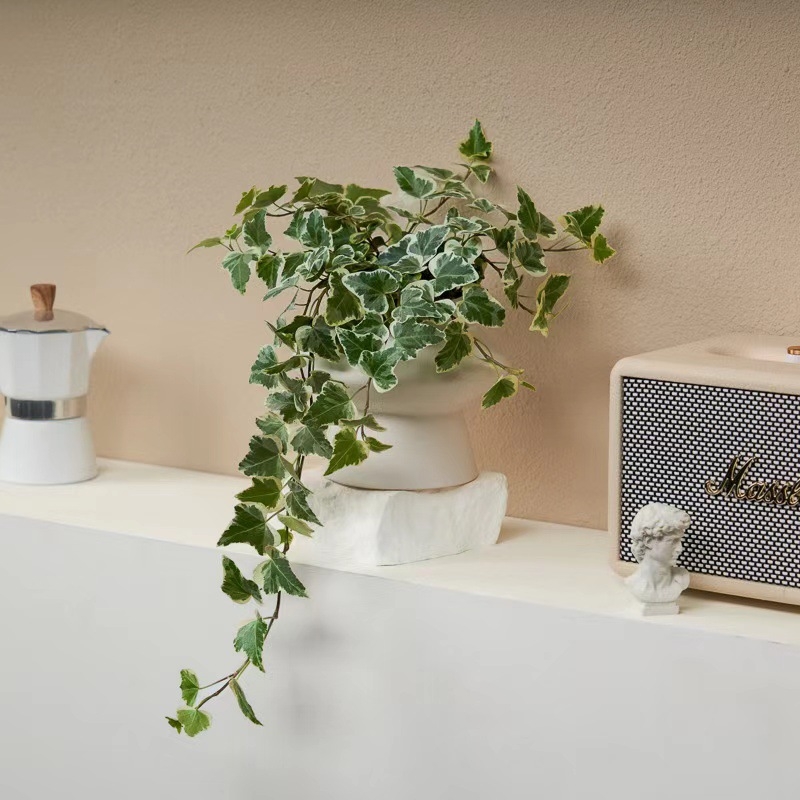 Guoxiang бръшлян в саксия за балкон – висящо растение за вътрешен двор, вечнозелено, лесно за поддръжка, нормална температура, обича слънцето и влагата, модерен стил минимализъм и лек лукс