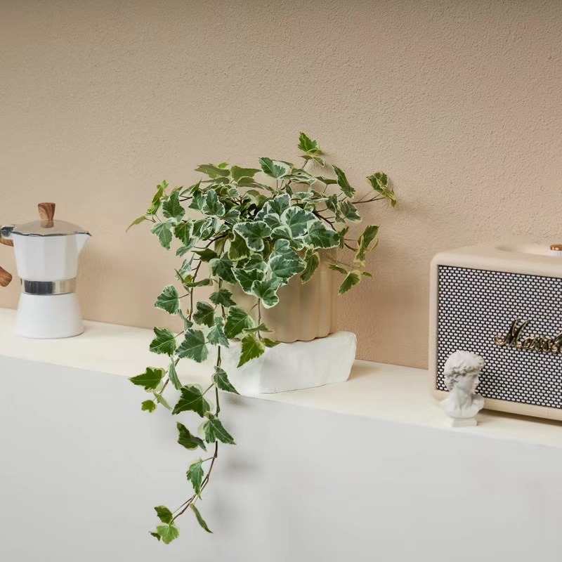 Guoxiang бръшлян в саксия за балкон – висящо растение за вътрешен двор, вечнозелено, лесно за поддръжка, нормална температура, обича слънцето и влагата, модерен стил минимализъм и лек лукс