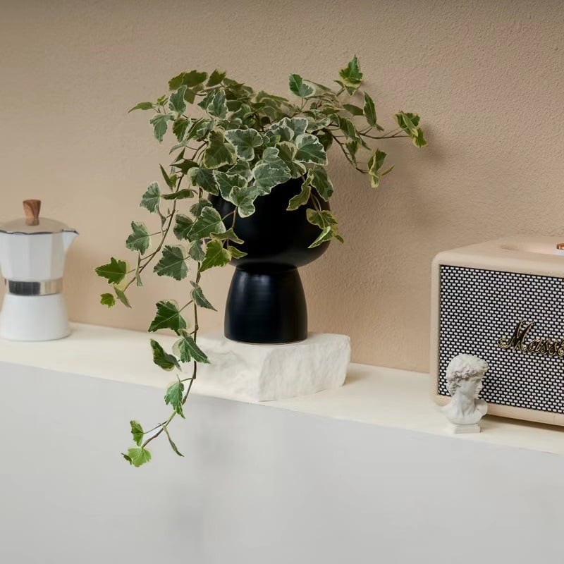 Guoxiang бръшлян в саксия за балкон – висящо растение за вътрешен двор, вечнозелено, лесно за поддръжка, нормална температура, обича слънцето и влагата, модерен стил минимализъм и лек лукс