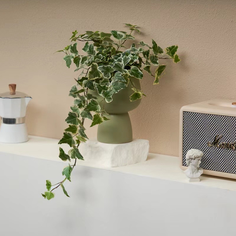 Guoxiang бръшлян в саксия за балкон – висящо растение за вътрешен двор, вечнозелено, лесно за поддръжка, нормална температура, обича слънцето и влагата, модерен стил минимализъм и лек лукс