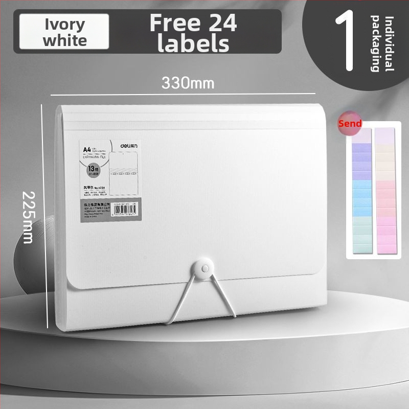 Deli 5236 PP akordeoninis bylų organizatorius su 13 skyrių, biuro dokumentų dėžutė