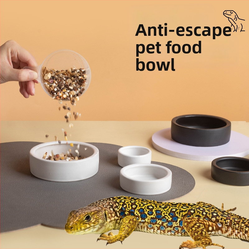 Keraminė driežams maisto indas su dizainu prieš pabėgimą, apvali aukšto krašto lėkštė, kilmė Čaozhou Guangdong