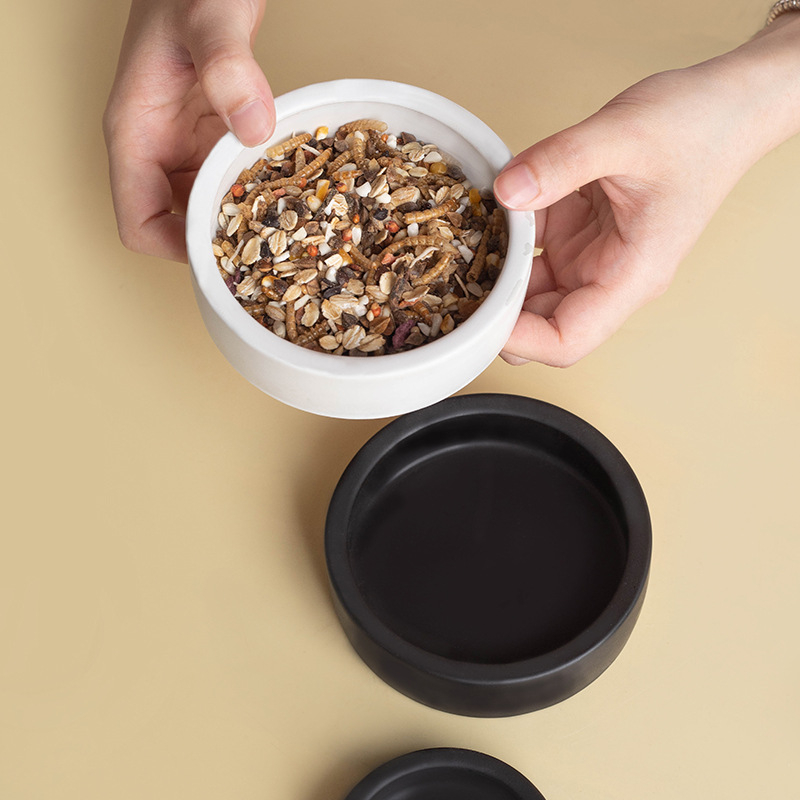 Keraminė driežams maisto indas su dizainu prieš pabėgimą, apvali aukšto krašto lėkštė, kilmė Čaozhou Guangdong