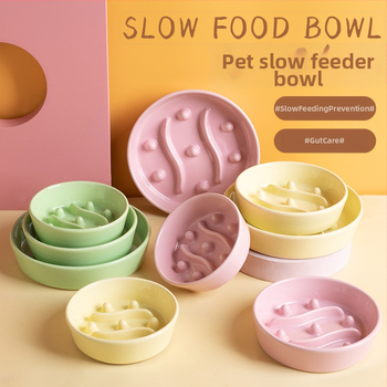 Keramikas lēnas barošanas bļoda mājdzīvniekiem ar aizrīšanās novēršanu un pret apgāšanos, kaķiem un suņiem