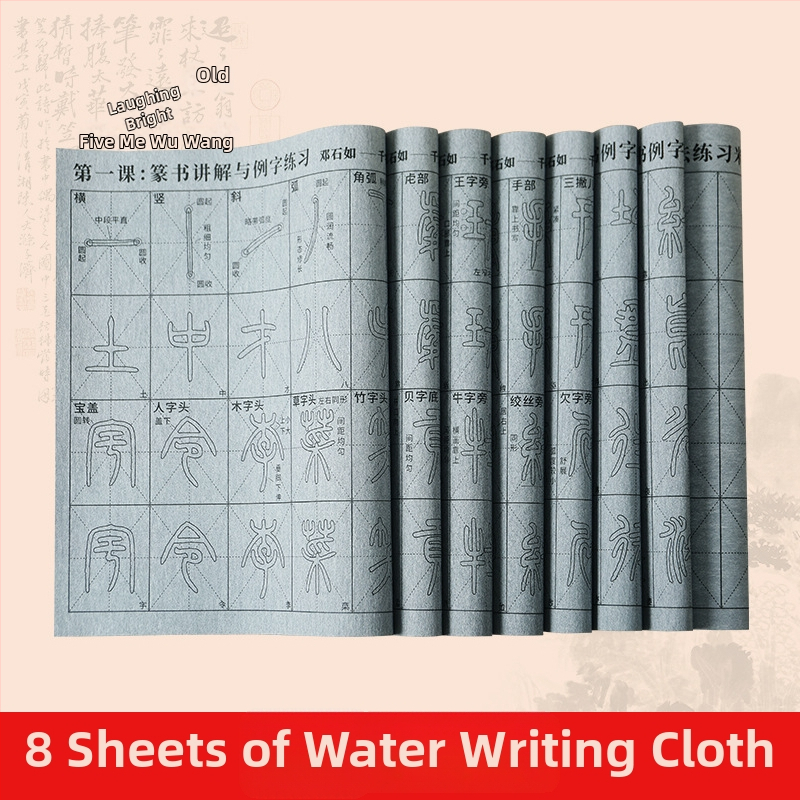 Kalligrafijos praktikos rinkinys: Seal Script šriftas, vaizdo įrašas su sinchronizuotais brėžiniais ir radikaliais, vandens rašymo audinys, šepetėlių rinkinys