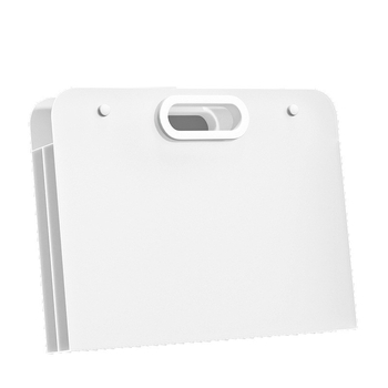 Set de depozitare pentru album de desen cu foldere pentru schițe și geantă de depozitare (Material: PP; Autorizare IP: Nu)