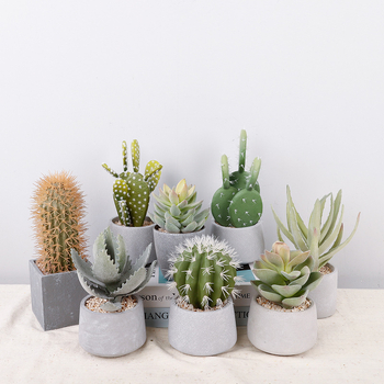 Ρετρό τεχνητό κάκτος μπονσάι σε τσιμεντένια γλάστρα για γραφείο • Μάρκα Olif • Υλικό PU • Τεχνική: Άλλο • Τύπος: Κάκτος