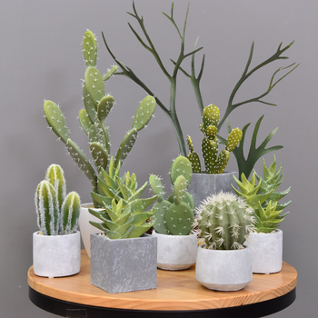 Ρετρό τεχνητό κάκτος μπονσάι σε τσιμεντένια γλάστρα για γραφείο • Μάρκα Olif • Υλικό PU • Τεχνική: Άλλο • Τύπος: Κάκτος