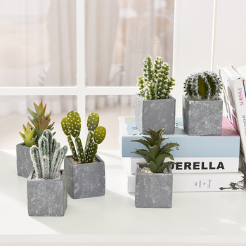 Ρετρό τεχνητό κάκτος μπονσάι σε τσιμεντένια γλάστρα για γραφείο • Μάρκα Olif • Υλικό PU • Τεχνική: Άλλο • Τύπος: Κάκτος