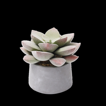 Ρετρό τεχνητό κάκτος μπονσάι σε τσιμεντένια γλάστρα για γραφείο • Μάρκα Olif • Υλικό PU • Τεχνική: Άλλο • Τύπος: Κάκτος