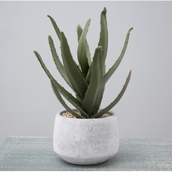 Ρετρό τεχνητό κάκτος μπονσάι σε τσιμεντένια γλάστρα για γραφείο • Μάρκα Olif • Υλικό PU • Τεχνική: Άλλο • Τύπος: Κάκτος