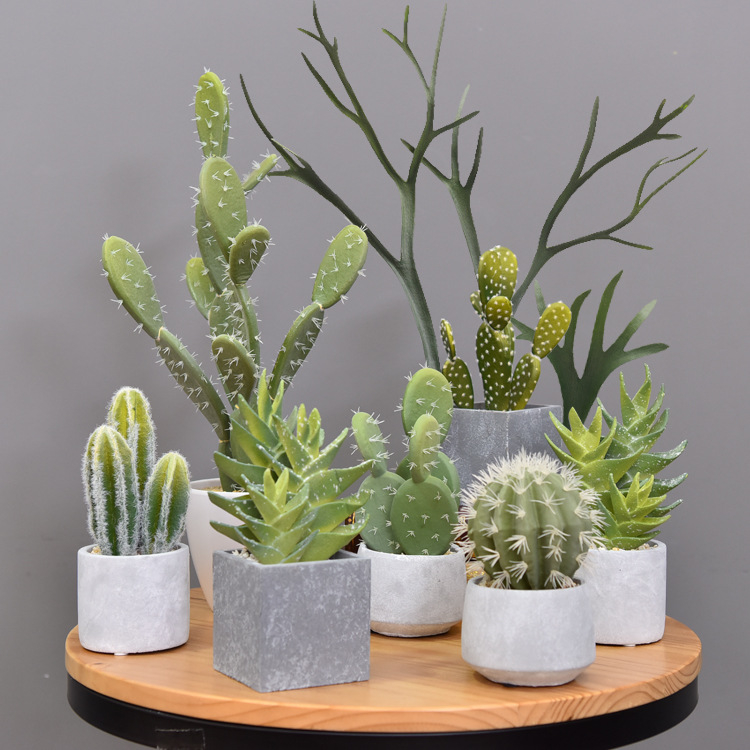 Retro umjetni kaktus bonsai u cementnoj posudi za ured • Marka Olif • Materijal PU • Zanat: Drugo • Vrsta: Kaktus