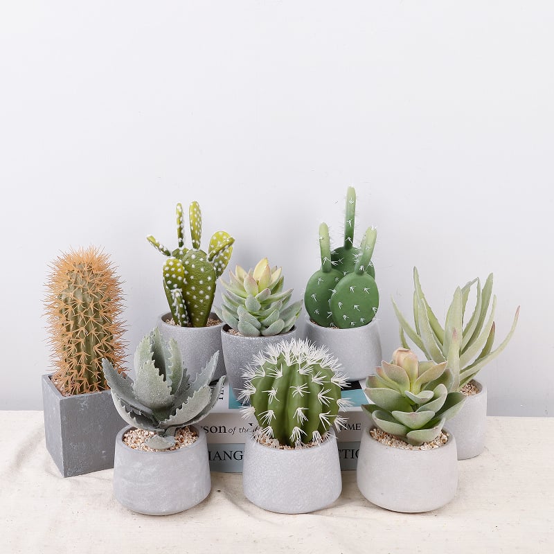 Ρετρό τεχνητό κάκτος μπονσάι σε τσιμεντένια γλάστρα για γραφείο • Μάρκα Olif • Υλικό PU • Τεχνική: Άλλο • Τύπος: Κάκτος