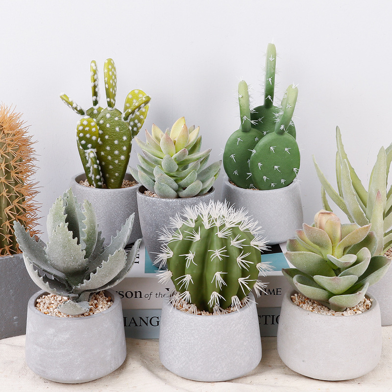 Retro umjetni kaktus bonsai u cementnoj posudi za ured • Marka Olif • Materijal PU • Zanat: Drugo • Vrsta: Kaktus