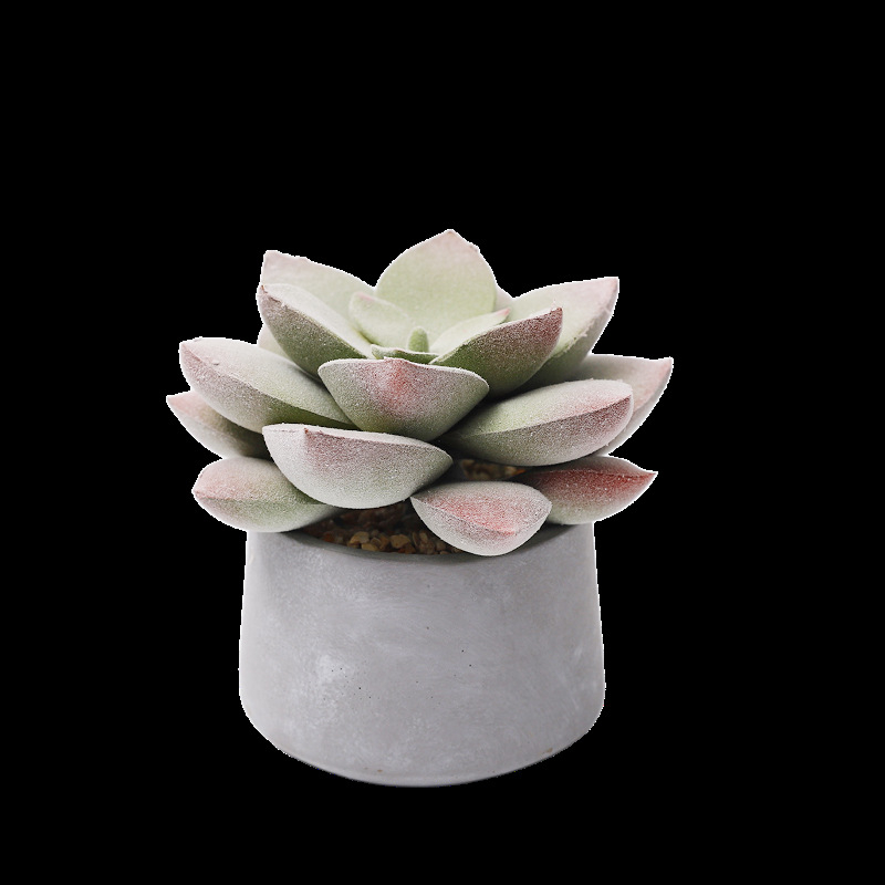 Retro umjetni kaktus bonsai u cementnoj posudi za ured • Marka Olif • Materijal PU • Zanat: Drugo • Vrsta: Kaktus