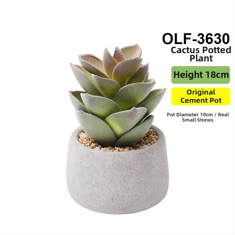 Retro dirbtinis kaktusas bonsai betono vazonėlyje biurui • Prekės ženklas Olif • Medžiaga PU • Amatas: Kita • Tipas: Kaktusas