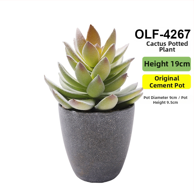 Retro dirbtinis kaktusas bonsai betono vazonėlyje biurui • Prekės ženklas Olif • Medžiaga PU • Amatas: Kita • Tipas: Kaktusas