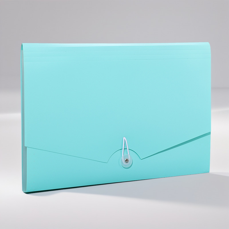 Akkordeono tipo failų organizatorius, 13 skyrių, PP plastikas, išorinis storis 0,5 mm / vidinis 0,12 mm, didelė talpa