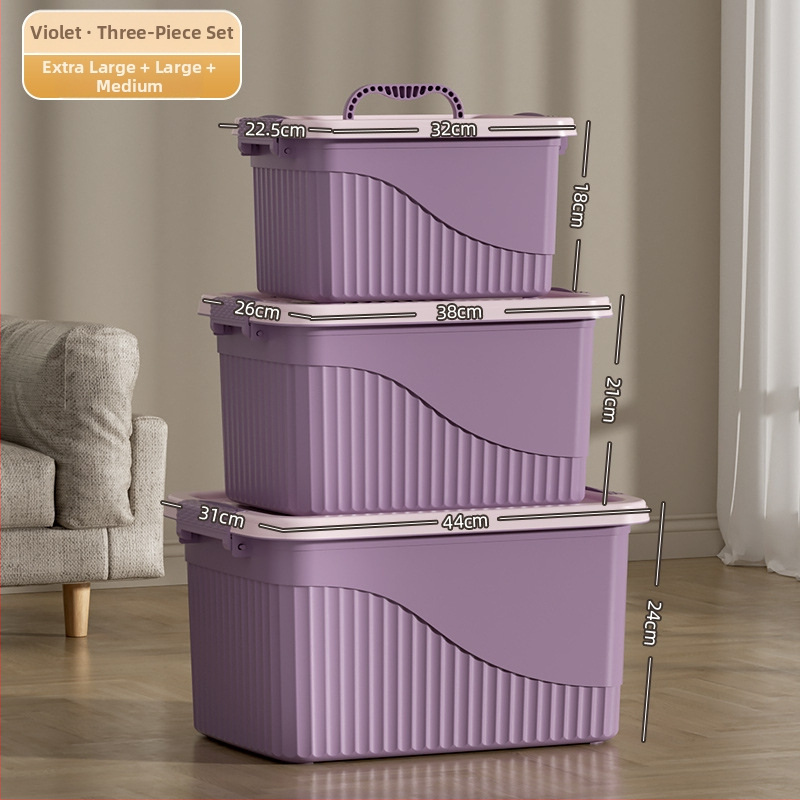 Plastikinė saugyklos dėžė su dangčiu - PP medžiaga, dryžuotas dizainas, nešiojama, talpa 10-20 L