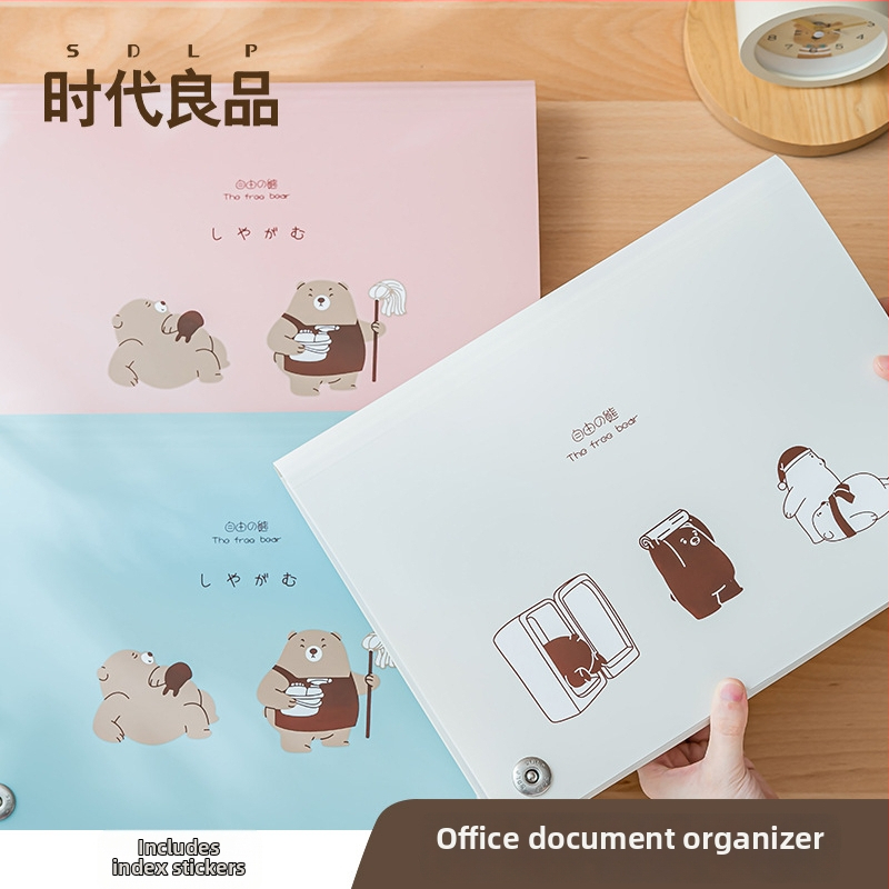 PP skaidrus albumas dokumentų ir apdovanojimų saugojimui, modelis SD-N325, 13 puslapių, spausdintas logotipas, pritaikymas įmanomas