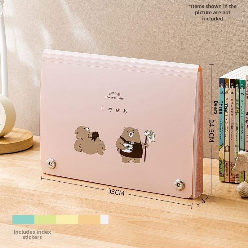 PP skaidrus albumas dokumentų ir apdovanojimų saugojimui, modelis SD-N325, 13 puslapių, spausdintas logotipas, pritaikymas įmanomas