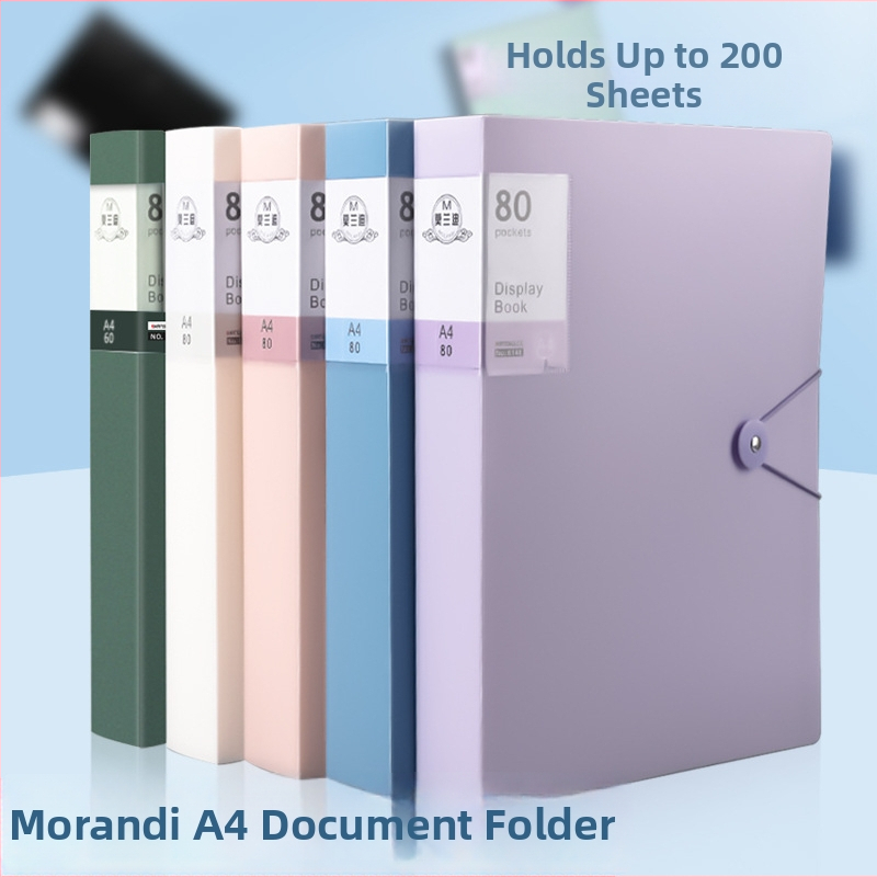 Didelės talpos dokumentų bylą su sagtimi ir skaidriomis įterpimo lapais (PP)