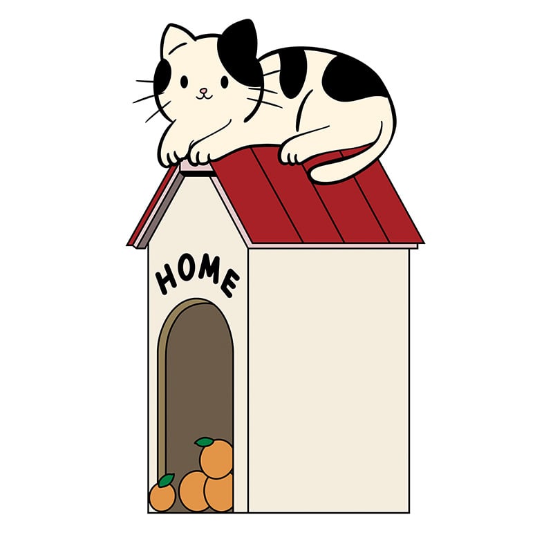 Katės šukavimo lenta – sieninis lipdukas, cartoon dizainas, atspari dėvėjimui, poliesteris, WB prekės ženklas, 100 vnt dėžėje